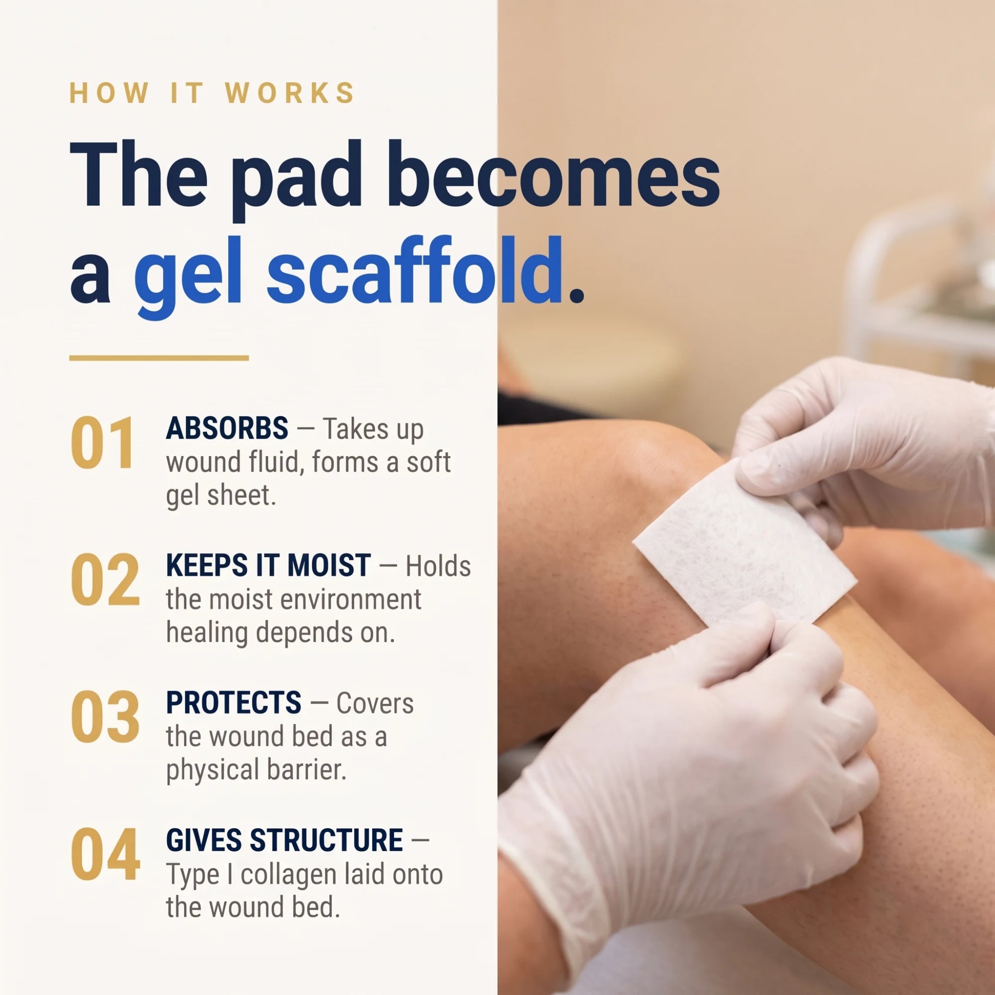 Collagen Wound Dressing, FDA 510(k) Cleared